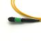 USCOME 24 Core MPO MTP Cable G657A1 LSZH 3.0 Single Mode Patch Cord تخصيص الطول