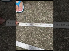 CPRI Bbu Odc-Dlc Cpri سلك الألياف الضوئية المقاوم للماء مع غطاء غبار مغلق