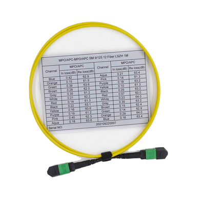 شراء أنثى OS2 9/125 MPO MTP كبل 12 سلك تصحيح متعدد الأوضاع online manufacture