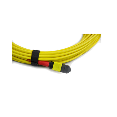 شراء كابل جذع Polarity B MPO ذكر إلى ذكر 3m 5m 10m Length Staggered Harness Cable online manufacture