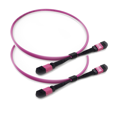 شراء PVC / LSZH MPO MTP Trunk Cable Elite Polarity B Key Up - Key Up For Data Center online manufacture