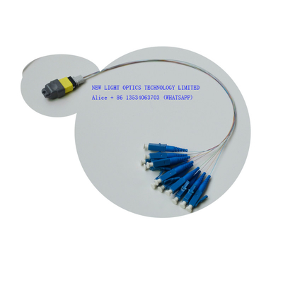 شراء 12 24 Core OS2 OM3 OM4 MPO MTP كبل أنثى قطبية B. online manufacture