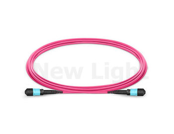شراء 5M OM4 12 أنثى أنثى MPO / MTP - MPO الحبل الألياف البصرية التصحيح LSZH 3.0 كابل أرجواني online manufacture