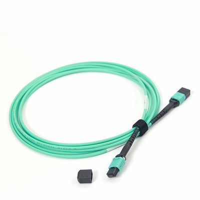 شراء MPO الإناث إلى MPO Fiber Patch Cord OM4 50/125 24 Core Multimode مع مواد LSZH طول 10ft online manufacture
