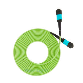 شراء الأخضر Mpo الألياف البصرية التصحيح الحبل 32 كور MTP / MPO أنثى 400G 3 متر OM5 -600 online manufacture