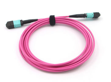 شراء تصحيح الحبل MPO إلى MPO 12 الألياف الأساسية OM4 أرجواني MPO MTP جذع الكابل online manufacture