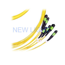 شراء G652D LSZH كابل الألياف البصرية أحادي الوضع MPO / MTP جذع الحبل 8/12/24 كور online manufacture