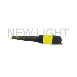 شراء MTP (أنثى) إلى MTP (أنثى) قطبية كبل أحادي النمط B لأجهزة إرسال واستقبال QSFP28 online manufacture