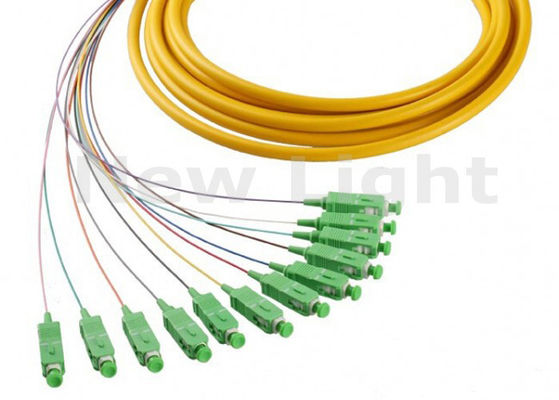 1 Meter Single Mode SC APC 12 Core Fiber Optic Pigtail for High-Speed Data Transmission