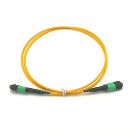 USCOME 24 Core MPO MTP Cable G657A1 LSZH 3.0 Single Mode Patch Cord تخصيص الطول