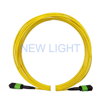 2m (6ft) 24 Core Single Mode MPO Female Connector Jumper كابل الألياف الضوئية